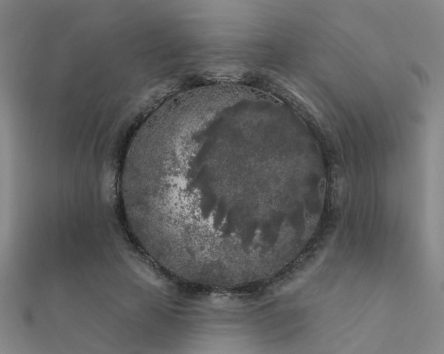X0000112360641200908131456