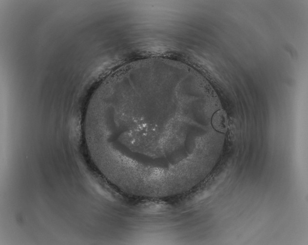 X0000112360642200908131457