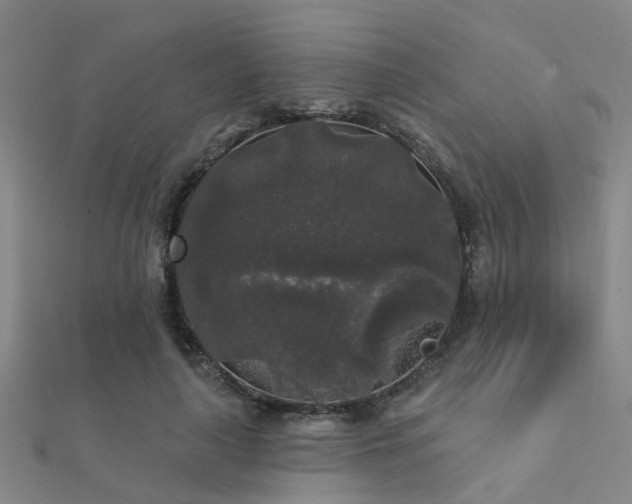 X0000112360643200908131457