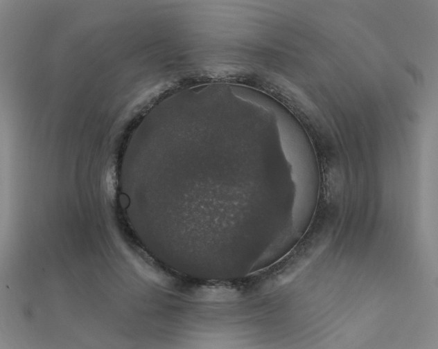 X0000112360644200908131457