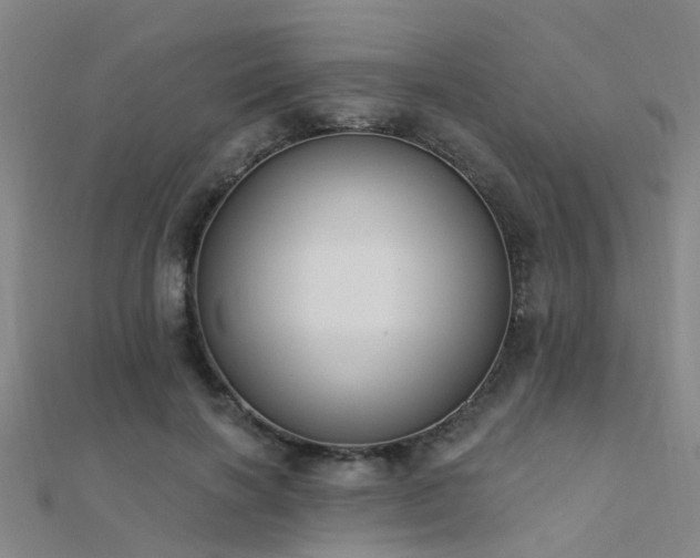 X0000112360646200908131457