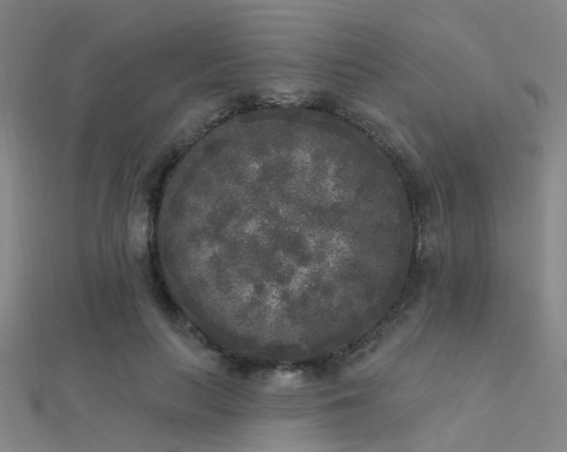 X0000112360647200908131457