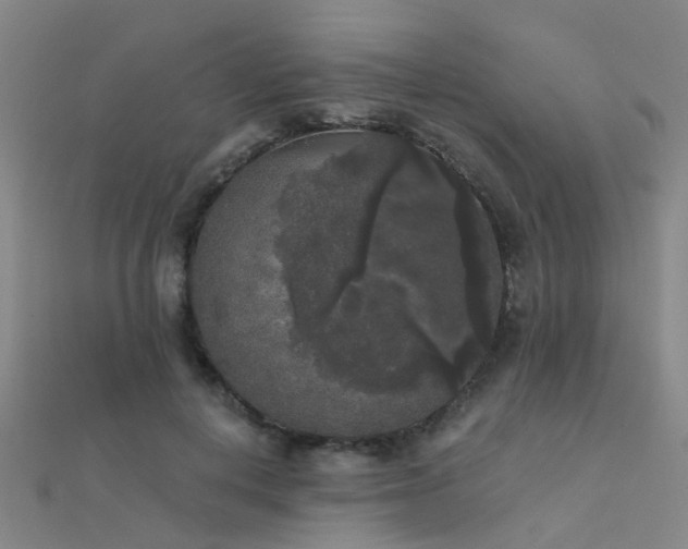 X0000112360648200908131457