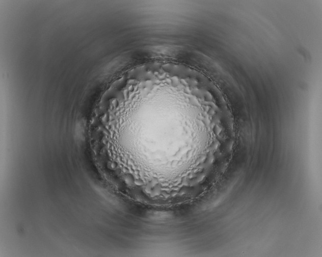 X0000112360649200908131457