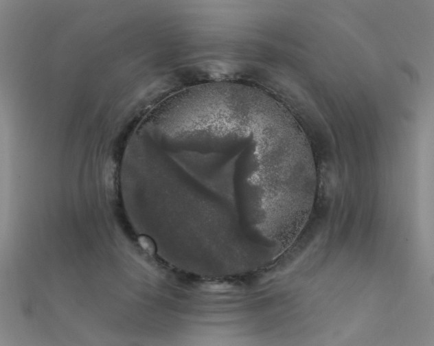 X0000112360650200908131457