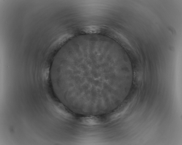 X0000112360652200908131457