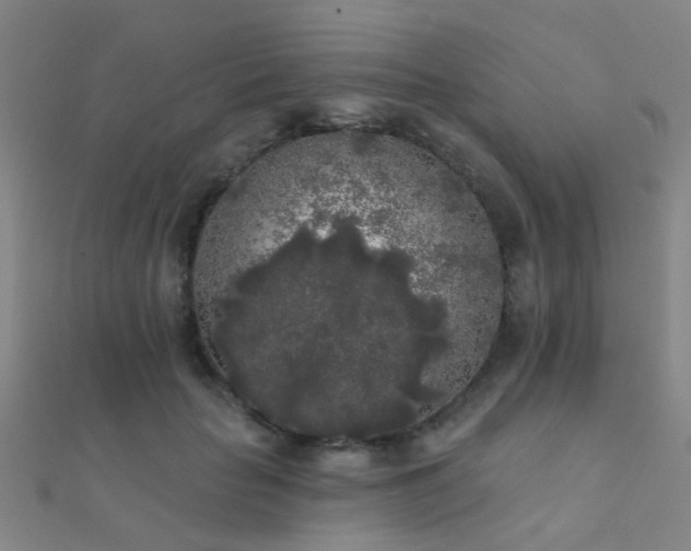 X0000112360653200908131457