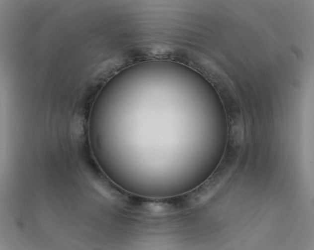 X0000112360654200908131457