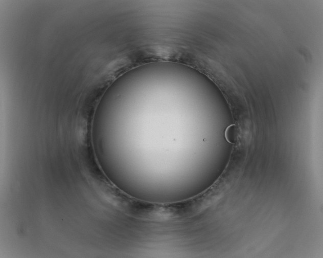 X0000112360656200908131457