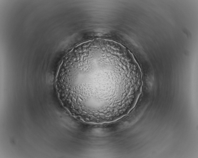 X0000112360657200908131457