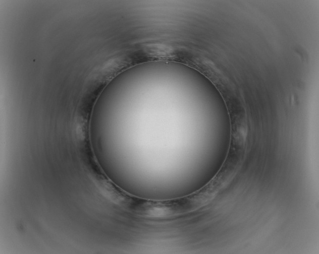 X0000112360658200908131457