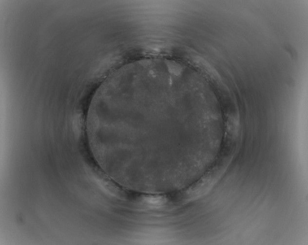 X0000112360659200908131457