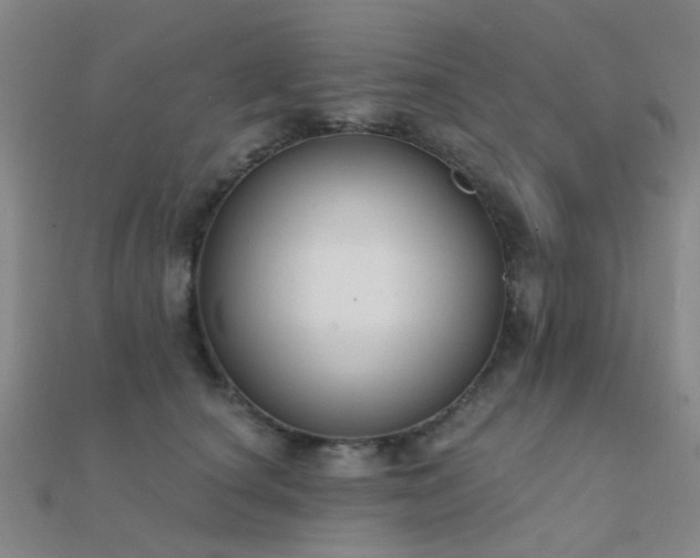 X0000112360660200908131457