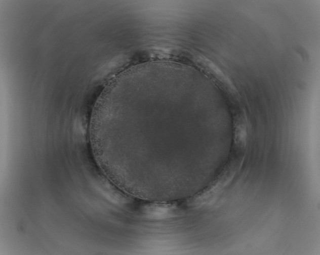 X0000112360661200908131457