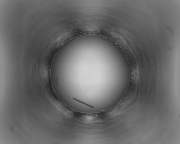 X0000112360662200908131457