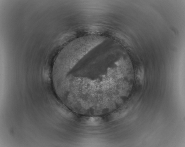 X0000112360663200908131457