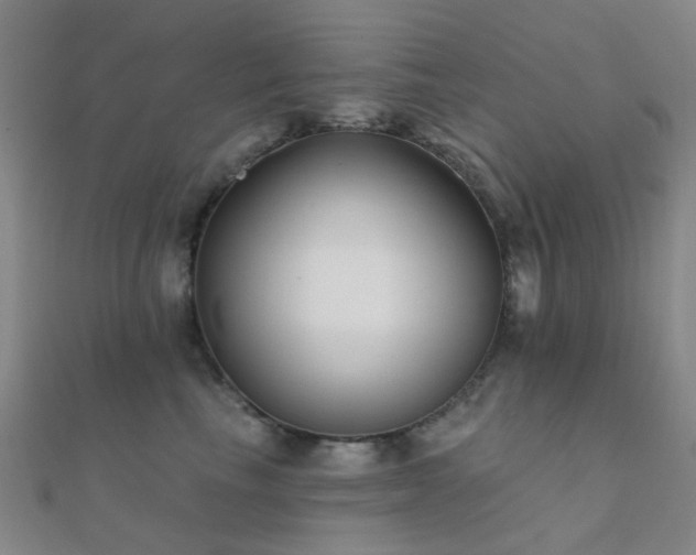 X0000112360665200908131457
