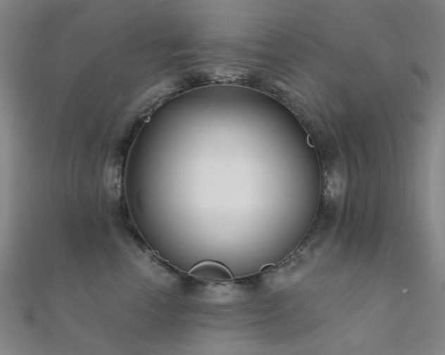 X0000112360666200908131457