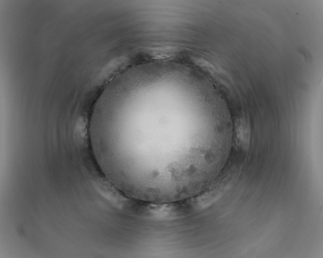 X0000112360667200908131457