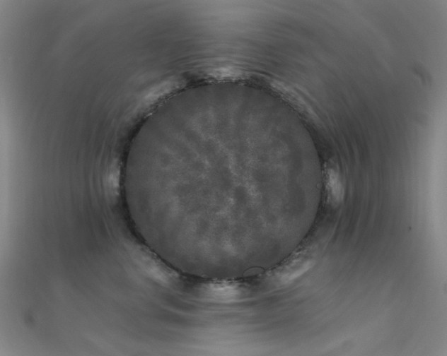 X0000112360668200908131457