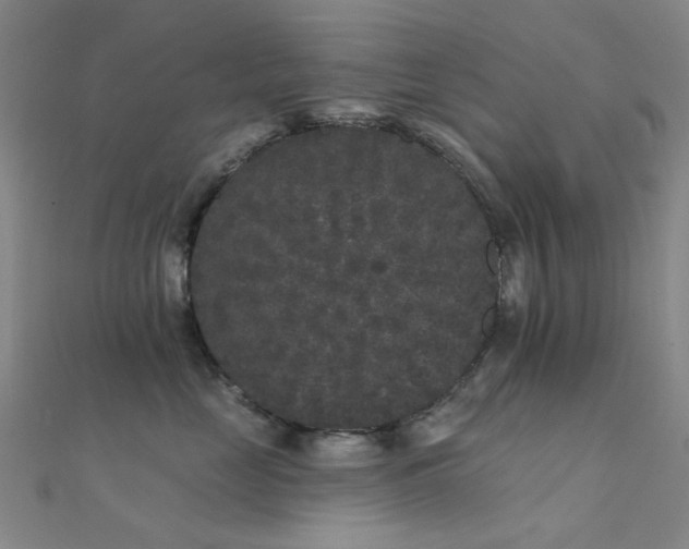 X0000112360669200908131457