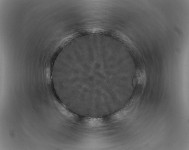 X0000112360670200908131457