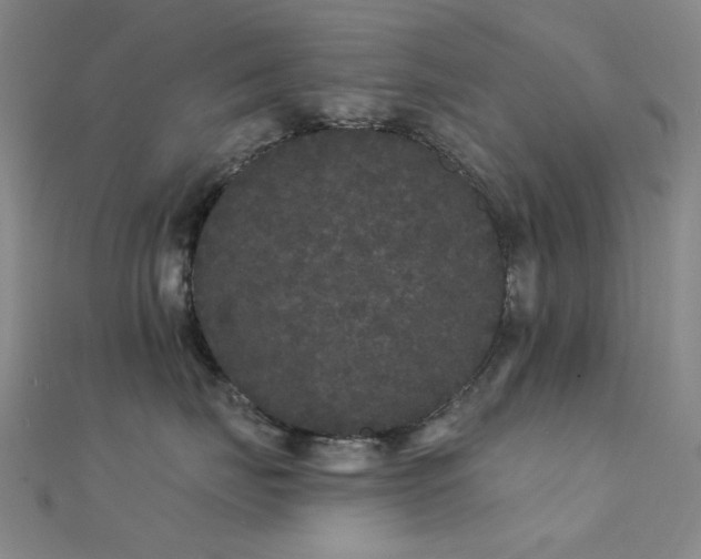 X0000112360671200908131457