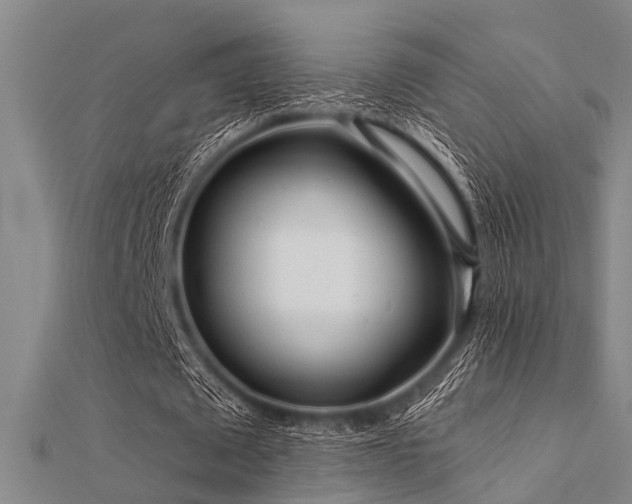 X0000112360673200908131456