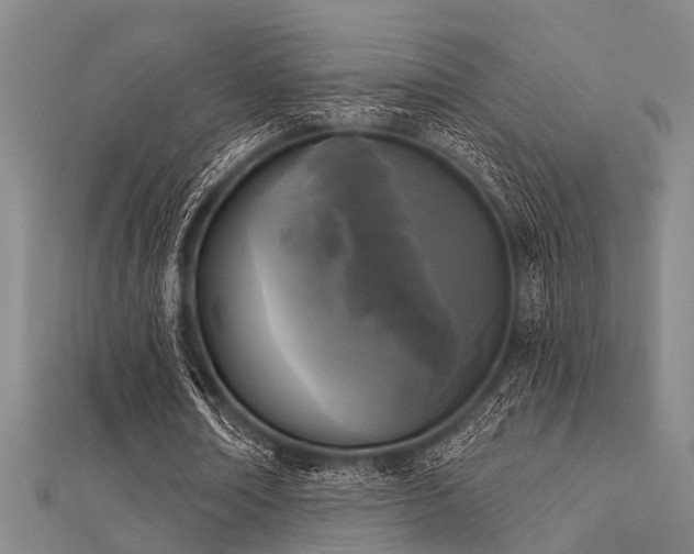 X0000112360674200908131456