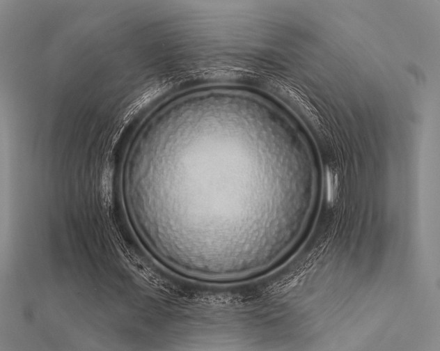 X0000112360675200908131456