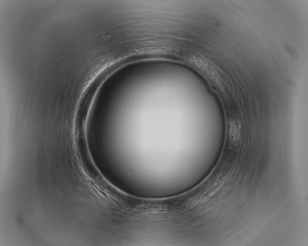 X0000112360676200908131456