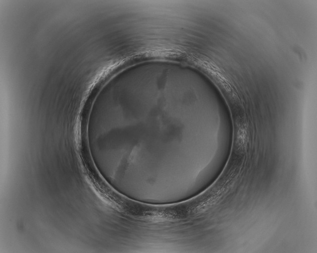 X0000112360678200908131456