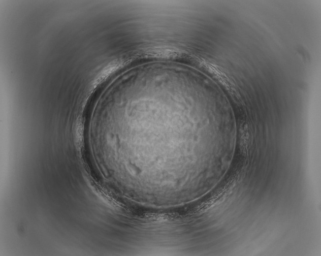 X0000112360679200908131456
