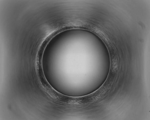 X0000112360680200908131456