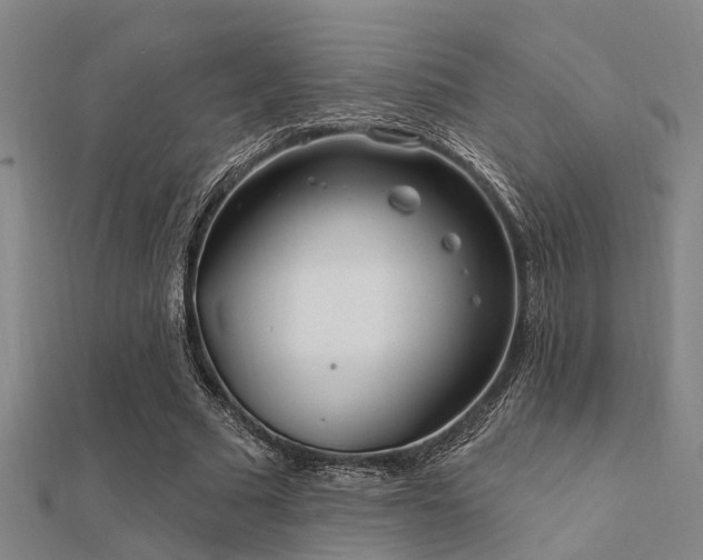 X0000112360681200908131456