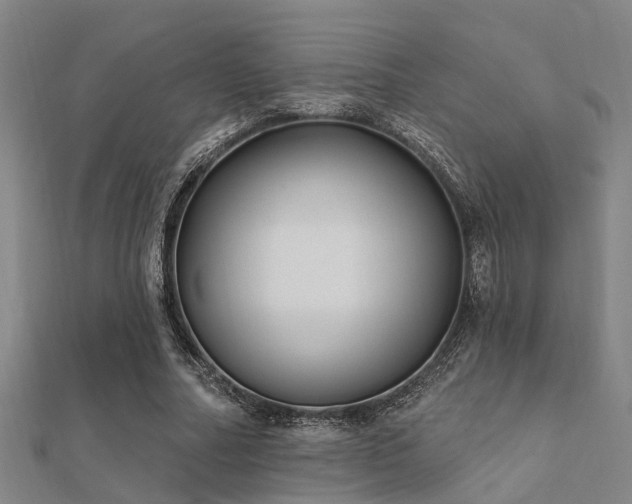 X0000112360682200908131456