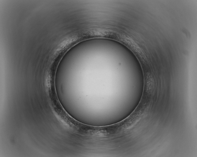 X0000112360683200908131456