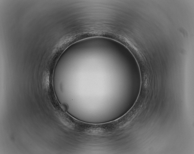X0000112360685200908131456