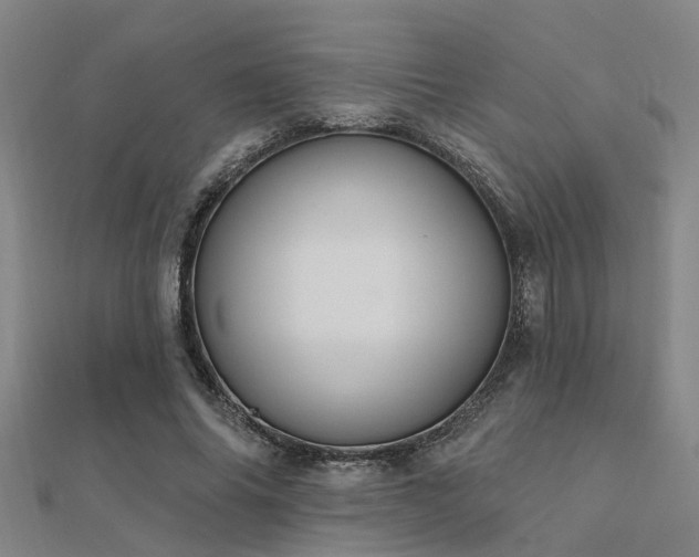 X0000112360686200908131456