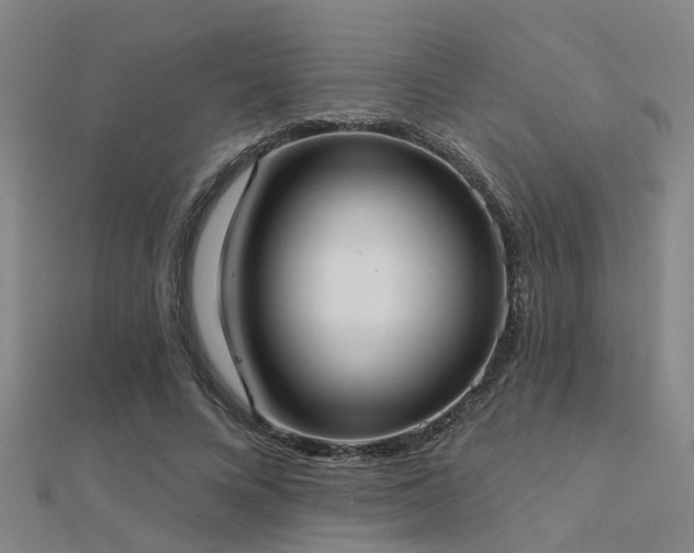X0000112360688200908131456