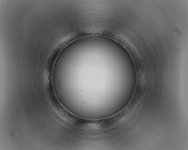 X0000112360692200908131456