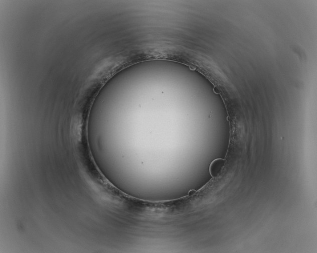 X0000112360694200908131456