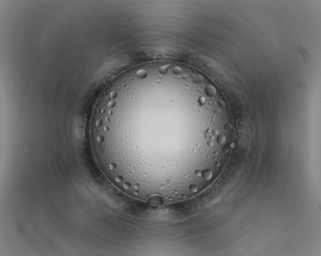 X0000112360695200908131456