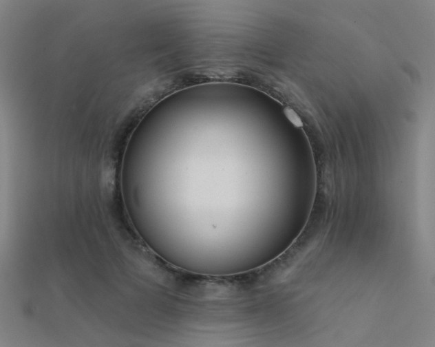 X0000112360697200908131456