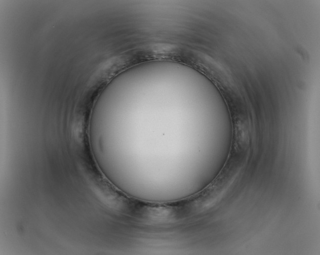 X0000112360698200908131456