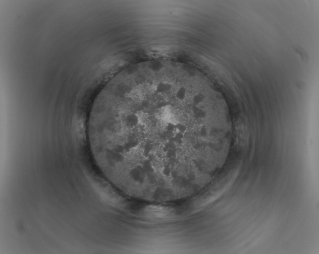 X0000112360699200908131456