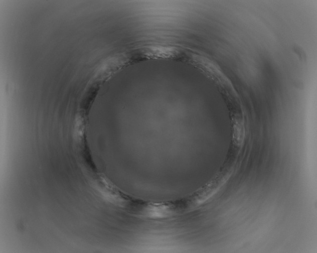 X0000112360701200908131456
