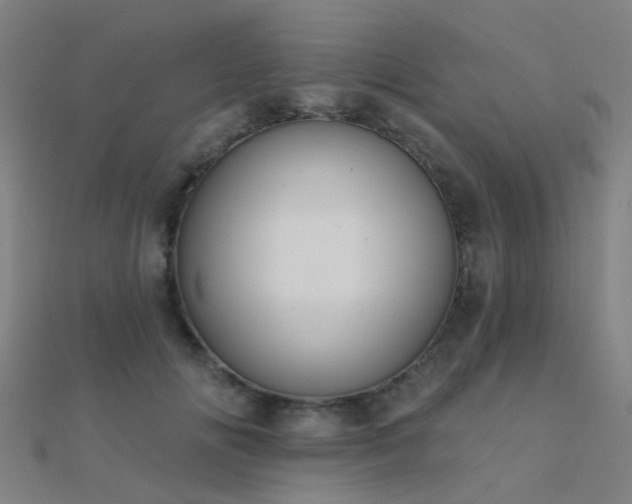 X0000112360702200908131456