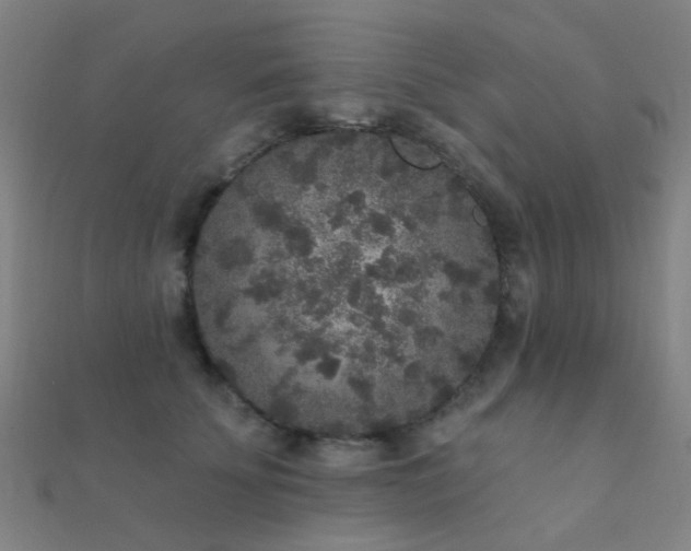 X0000112360707200908131456