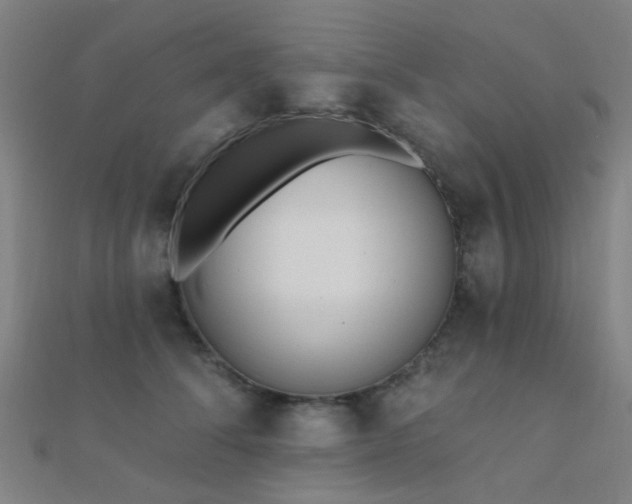 X0000112360708200908131456